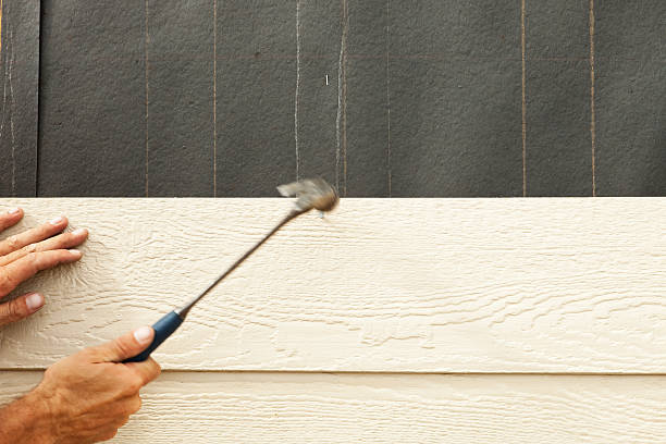 Best Siding Painting and Refinishing  in Dawson, GA